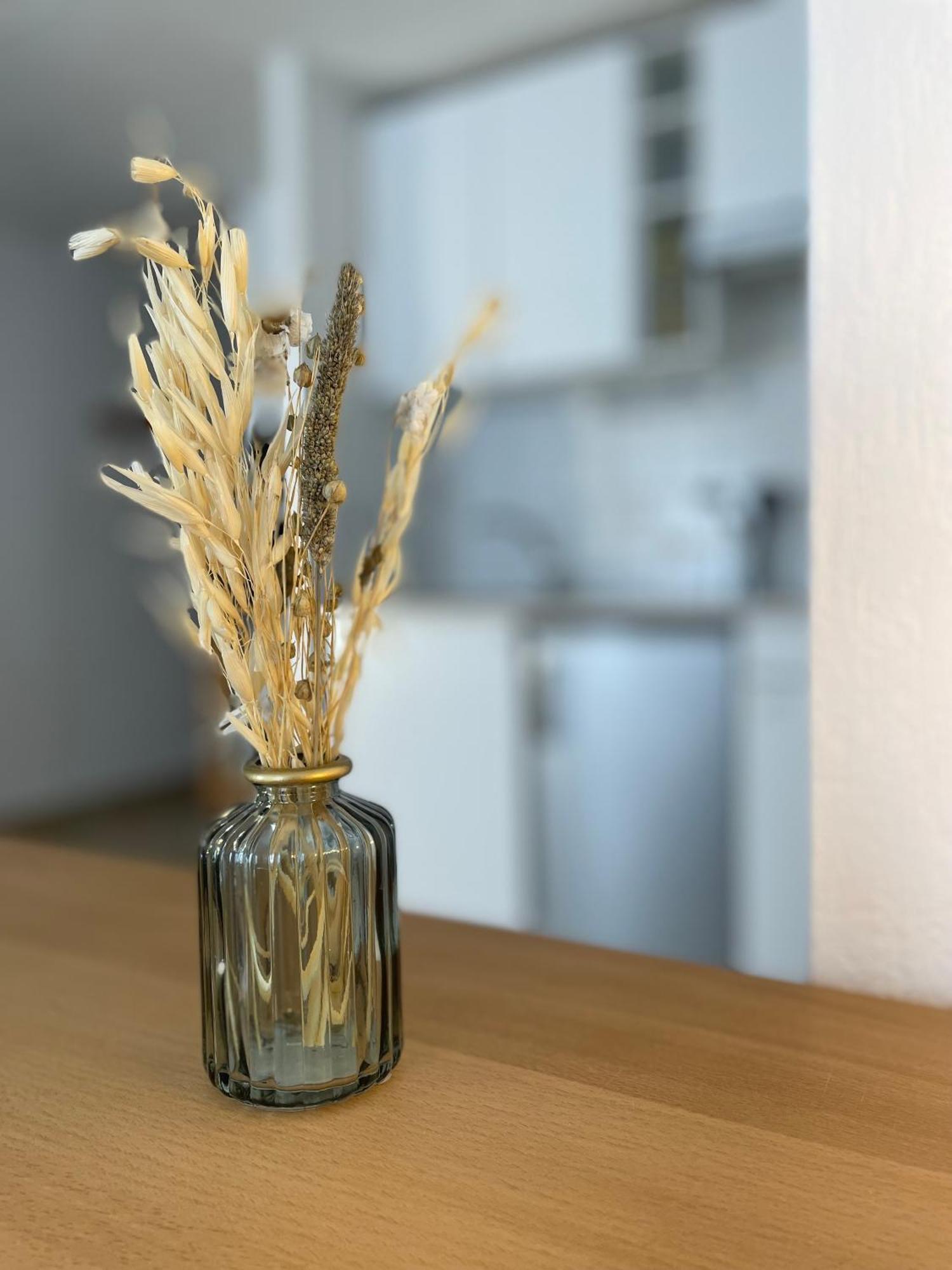 Spacieux Studio « Boheme » Digne-les-Bains ภายนอก รูปภาพ